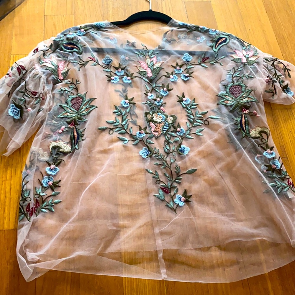 Zara blush embroidered top.